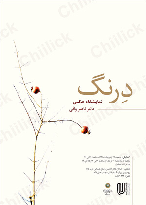 نمایشگاه « درنگ » ناصر وافی در نگارخانه لاله
