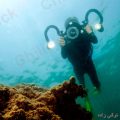 فراخوان نخستین جشنواره عکاسی زیر آب ایران
