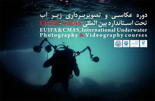 برگزاری دوره آموزش تخصصی عکاسی زیر آب