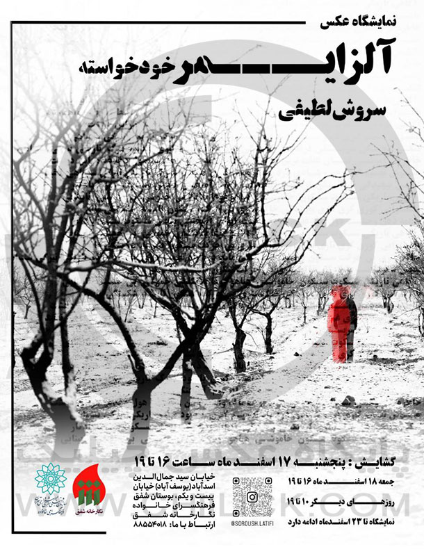 پوستر نمایشگاه عکس «آلزایمر خود خواسته» در نگارخانه شفق