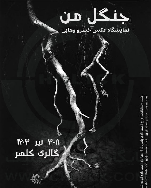 نمایشگاه عکس «جنگل من» خسرو وهابی در رشت